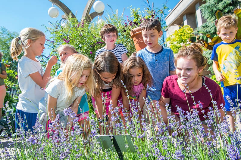 Camp registration is open! Denver Botanic Gardens